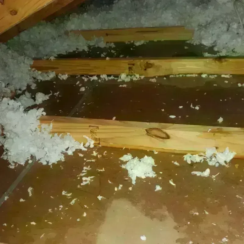 Attic Water Damage in Warner Robins, GA